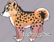 Pet