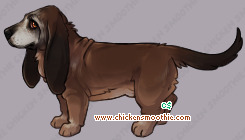 Pet