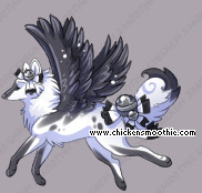 Pet