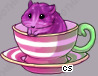 Pet