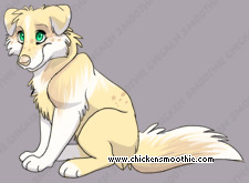 Pet