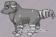 Pet