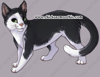 Pet