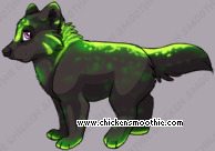 Pet