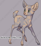 Pet