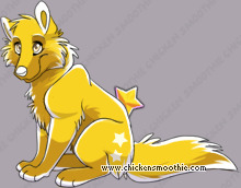 Pet