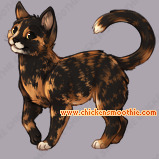 Pet