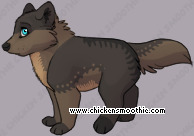 Pet