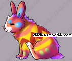 Pet