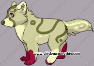 Pet