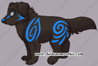 Pet