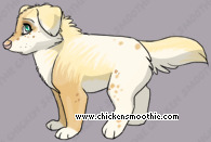Pet