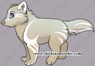 Pet