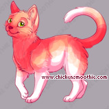 Pet