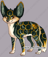Pet