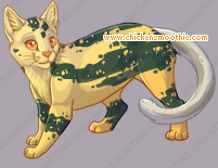 Pet