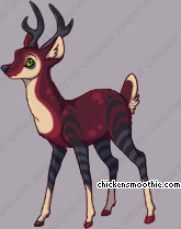 Pet
