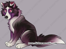 Pet