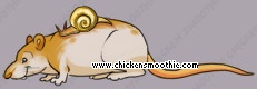 Pet