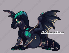 Pet