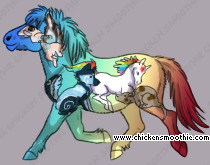Pet