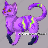 Pet