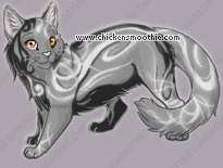 Pet