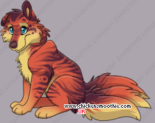 Pet