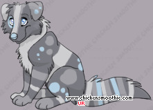 Pet