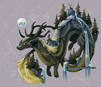 Pet