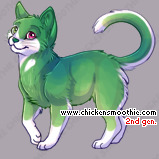 Pet