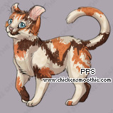 Pet