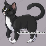 Pet