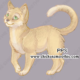 Pet