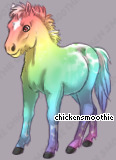 Pet