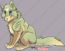 Pet