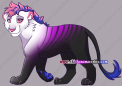 Pet