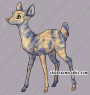 Pet