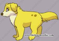 Pet
