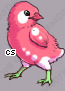 Pet