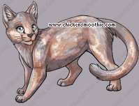 Pet