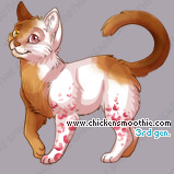 Pet
