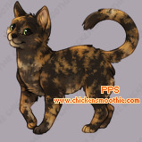 Pet
