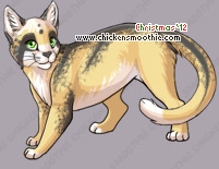 Pet