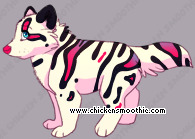 Pet