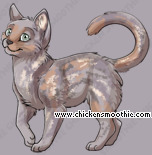 Pet