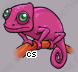 Pet