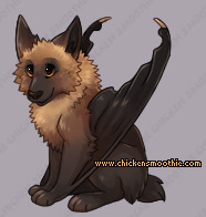 Pet