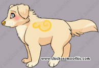 Pet