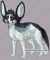 Pet